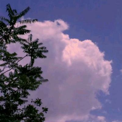 果盘格斗英雄传奇手游下载